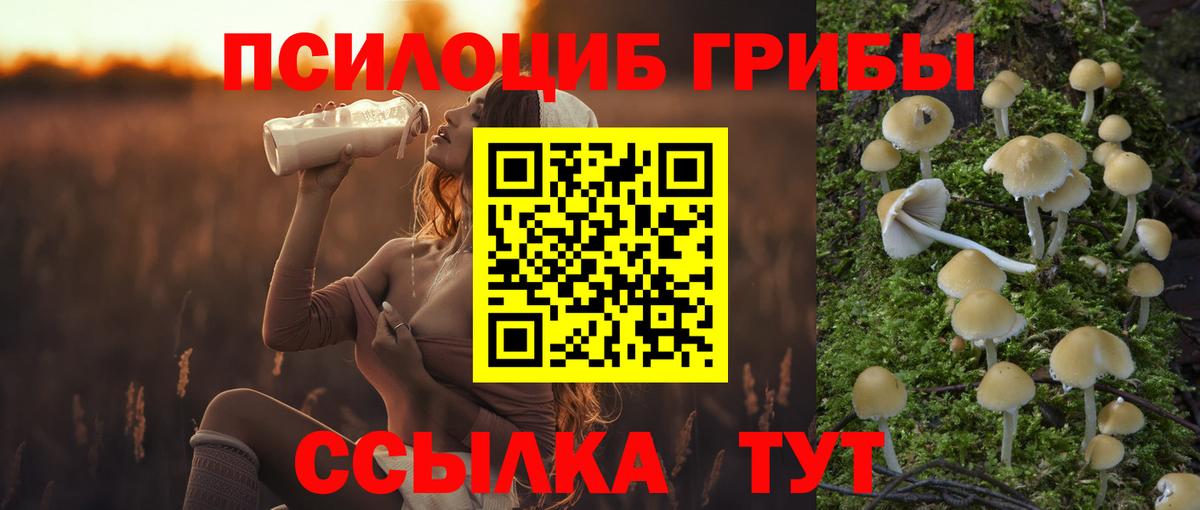 Псилоцибиновые грибы Cubensis  Вход с VPN  Волжский 