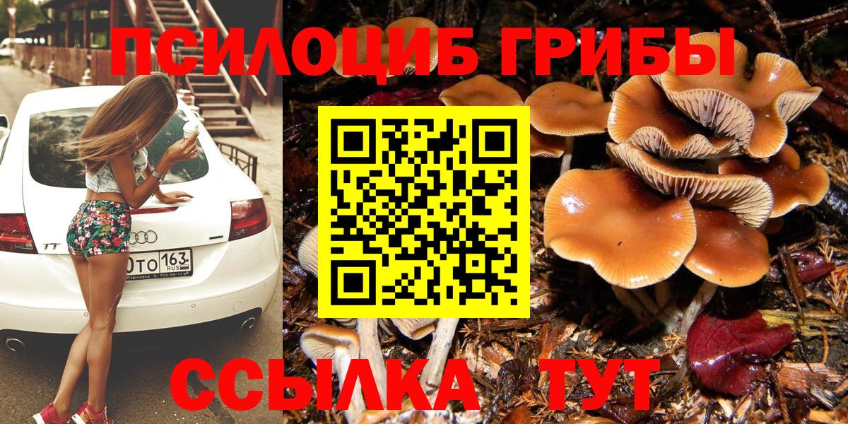 Псилоцибиновые грибы Cubensis Волжский